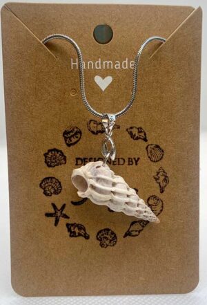 Giant Wentletrap Necklace